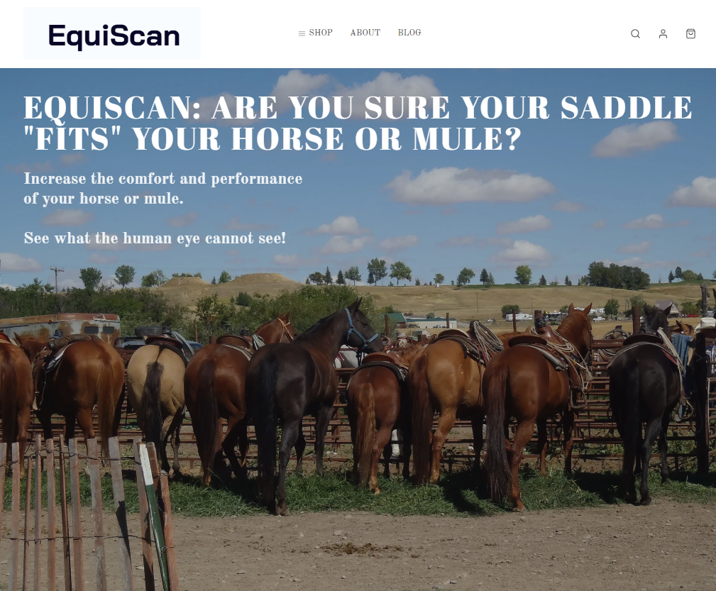 Equiscan™ Computer Saddle Fitting