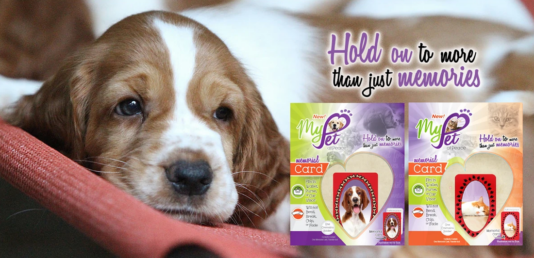 My Pet At Peace Memorial Cards